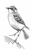 Placeholder: Inking illustration of a small bird. White background. Fine lines. Realistic bird. bird.