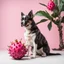 Placeholder: A dog sitting in front of a dragon fruit on a light background for removal