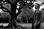 Placeholder: Al estilo visual de la primera temporada de la serie True Detective, un hombre frente a una tumba junto a un gran árbol, sobre la tumba una cornamenta de ciervo, fotografía en blanco y negor. Disparo con cámara Leica