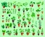 Placeholder: Vector plants and herb set illustration. Watercolor ฉากหลังสีขาว