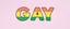 Placeholder: gay logo