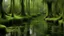 Placeholder: A bayou with moss-draped trees, silent except for the chorus of frogs and crickets.