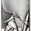 Placeholder: hand drawn in single line by Nicolai Blatter with hatch with parallel wavy lines metal engraving representing the Adventures of Don Quixote de la Mancha in bosch style or salvador dali style