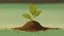 Placeholder: The painting shows a small mint seed buried in the ground. The artist uses brown and light green colors to depict the initial growth of the plant. The seed emerges in the nutrient soil and receives sun and water to grow.