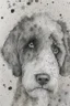 Placeholder: Abstract wet watercolour of the head of a black and white bernadoodle, ink lines, interlinked circles, detailed,focus on eyes, watercolour paper