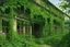 Placeholder: A green warehouse with overgrown vines painted by Henri Robert-Bresil