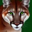 Placeholder: cougar portrait