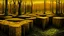 Placeholder: LOST FOREST