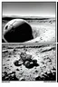 Placeholder: High-altitude lunar reconnaissance satellite image of a young impact crater with larger regolith along right ride. A massive damaged metallic alien sphere with fracture lines like an egg. organic growth across regolith and up crater walls. Along the lower frame edge a small modern bare-bones lunar-vehicle sits near the rim with visible wheel tracks. comic page pencils