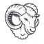 Placeholder: vector illustration of a goat