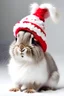 Placeholder: happy christmas rabbit with a christmas hat