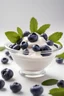 Placeholder: ((Zoom out)), Glass bowl filled with creamy yogurt topped with a beautiful arrangement of some blueberries, Editorial Photography, Photography Shot on 70mm lens Depth of Field Bokeh DOF Tilt Blur Shutter Speed 1/1000 F/22 White Balance, 32k Super-Resolution white background.