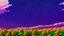 Placeholder: purple sky full of stars, sunflower field, anime, high res, makoto shinkai