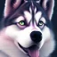 Placeholder: Husky, pink eyes, 8K, cinematic lighting, sharp focus, masterpiece, expert