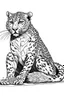 Placeholder: Outline art, cheetah eating food, full body, cartoon style, black and white, low detail, no shading, --ar 9:11