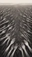 Placeholder: a field of thousands of hands of bodies buried in the ground not visible, horror, hands in different shapes coming out from the ground towards the sky Busch painting style nightmare and thin line draw