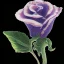 Placeholder: purple flower