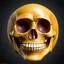 Placeholder: ANATOMICALLY CORRECT digital photograph of the SKULL OF A SMILEY FACE by davinci with fine line,