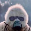 Placeholder: subject = (Yeti in a mask) background = (wildfires, mountains, fires, smoke, disaster)