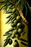 Placeholder: Mediterranean,olive