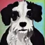 Placeholder: Beautiful portrait of a black and white Cavachon indoors by picasso