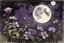 Placeholder: Night, purple flowers, moon, gothic horror films influence, winslow homer watercolor paintings