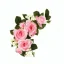 Placeholder: Pink roses