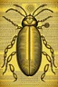 Placeholder: gothic, steampunk drawings of a beetle, sepia-toned