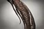 Placeholder: An animal's stiffened rib, huge