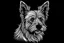 Placeholder: A line art of a dog (Australian Terrier). make this black and white and filly.