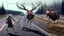 Placeholder: the deceased deer resurrects as an evil lovecraftian deerchad and chases an older drunk lady down the I90 highway