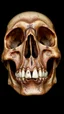 Placeholder: skull without teeth covered in corrosion from a black background,