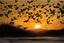 Placeholder: Create * Japanese ink painting + Disney style : white big bird’s murmuration , sunrise in Japanese Mountains , HR, HD, fantasy