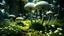 Placeholder: alien woodland trees looking like mushrooms with multi stemmed dandelions