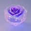 Placeholder: transparent crystal rose, crystallized