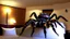 Placeholder: 2 people runing in hotel room because of escaped tarantula