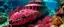 Placeholder: A pinkish purple and reddish underwater reef with a submarine designed in cave paintings painted by Jackson Pollock