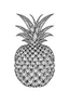 Placeholder: pineapple minimalistic, line art, background, vector, svg, coloring page, black outline on white background