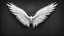 Placeholder: realistic white wings on black background