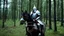 Placeholder: warrior knight in armor mounted on a horse in the forest