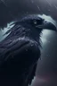 Placeholder: storm crow, 4 k, trending art, depth of field, high detail, high contrast