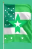 Placeholder: Joe Biden with Esperanto flag. Green flag with white square and green star inside the square. "Esperanto Flag"