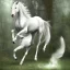 Placeholder: A white stallion galloping through the woods