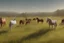 Placeholder: illustration horses of different colors in a field from afar