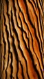 Placeholder: suggestive rough texture of an elm tree trunk flowing vertical