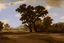 Placeholder: texas landscape by poussin