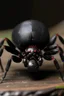 Placeholder: fat black widow