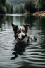Placeholder: dog in a lake