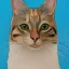 Placeholder: Portrait of a cat by Gabriel