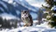 Placeholder: owls hunt their prey in the snow,,nature,bokeh, valley,utra realistic, snow, masterpiece, sharp focus,volumetric lighting,